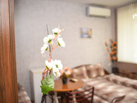 Guest rooms Velina
