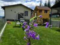 Вила под наем Belle Vue