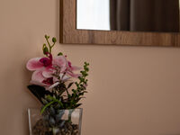 Guest house Jorgovata Kashta