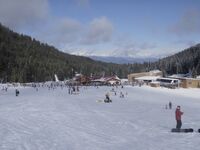 Студио под наем Е 206