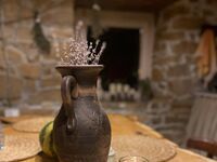Вила под наем Та Petrina Cottage