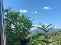 Вила под наем Та Petrina Cottage