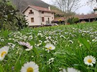 Guest house Rivar Gardan