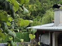 Guest house Hidrotera