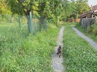 Guest house Na Balkana 2