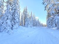 Гостевой дом Кралимаркови