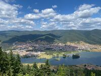 Комплекс Форест
