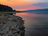 Комплекс Форест