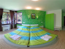 Зелена стая